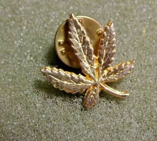 Marijuana Cannabis Leaf Lapel Pin Back Adams Apple Chicago Il Head Shop Pot Weed