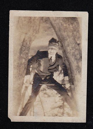 Old Vintage Antique Photograph Man Climbing Between Trees In Backyard