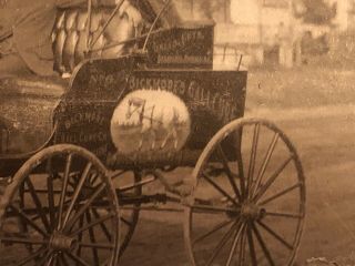 Vintage Veterinary Bickmore Gall Salve Traveling Vet Albumen Horse Buggy