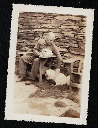 Old Vintage Antique Photograph Man Sitting With Puppy Dogs In Backyard