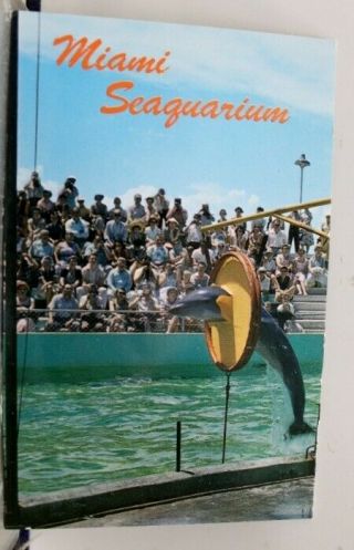 Florida Fl Seaquarium Miami Postcard Old Vintage Card View Standard Souvenir Pc