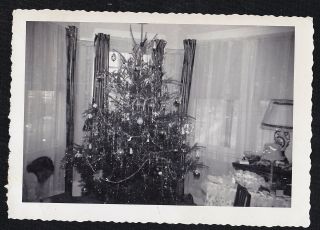 Vintage Antique Photograph Christmas Tree In Retro Room