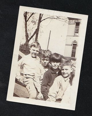 Vintage Antique Photograph Four Adorable Little Boys Lined Up Sitting In A Row