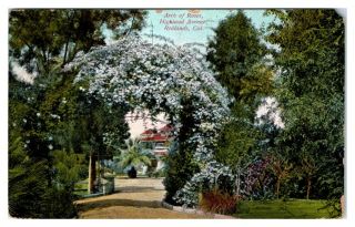 1920 Arch Of Roses,  Highland Avenue,  Redlands,  Ca Postcard 5f25