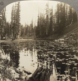 Keystone Stereoview Of Isa Lake,  Yellowstone N.  P.  From 1930 