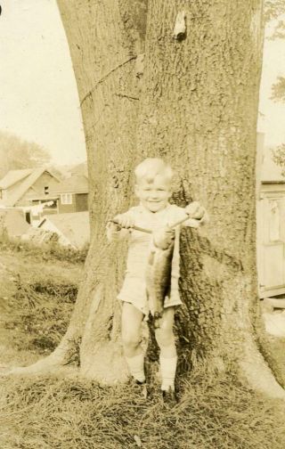 G996 Vtg Photo Little Boy Holding Fish Catch,  Fishing,  Big Tree C 1920 