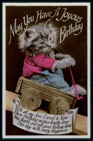 Dressed Cat In A Wooden Toy Car Old 1910s Postcard