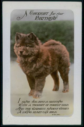 Chow Chow Dog Thought For Your Birthday Old 1920s Photo Postcard