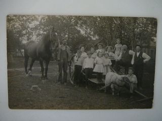 Vintage Photo Postcard Of Families With A Large Horse And A Sheep Pulling Wagon
