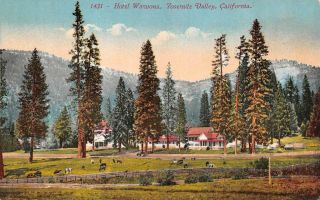 Ca,  California Hotel Wawona Cows Grazing Yosemite Valley C1910 