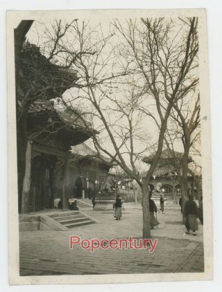 Pre Ww2 1934 China Photograph Lama Temple Bronze Lion Peiping Peking Beijing