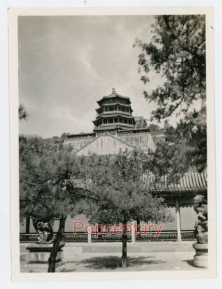 Pre Ww2 1938 China Photograph Peking Summer Palace Ground View Pagoda Beijing