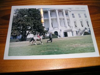 White House Official Picture John Kennedy Caroline Riding Pony White House Lawn