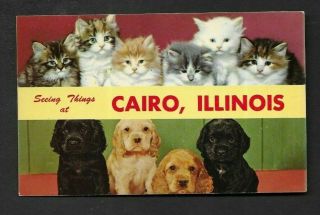 Postcard Seeing Things At Cairo Il 2223