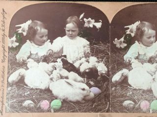 4/1 Vintage Stereoview Card Keystone Easter Bunny Rabbit W Little Girls Girl
