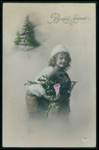 Cute Child Girl And Flat - Coated Retriever Dog Old 1910s Photo Postcard