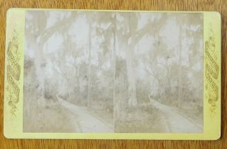 c1890 REAL PHOTO STEREOVIEW 