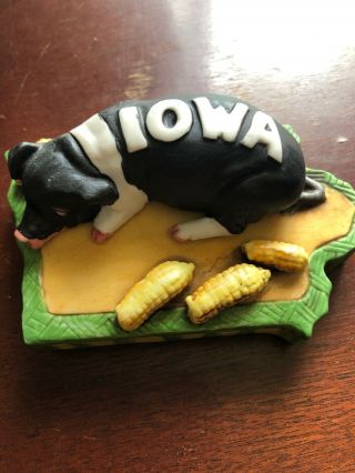 Iowa Pig Black And White With Corning’s The State