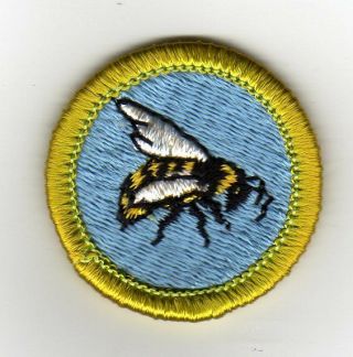 Beekeeping Merit Badge,  Type H,  Clear Plastic Back (1972 - 1995),