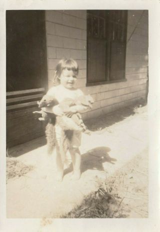 Photo Young Girl With Armload Of Squirrels Snapshot Ca 1940s Squirrel Hunting