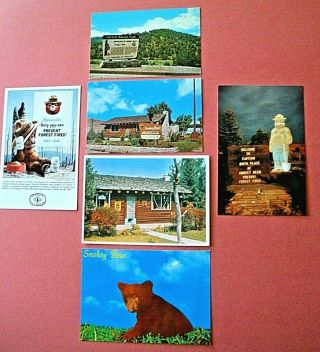 6 Smokey Bear Postcards Capitan,  Mexico Smokey 