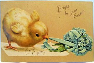 1908 Postcard Bright Be Your Easter,  Baby Chick Tugging At Forget - Me - Nots