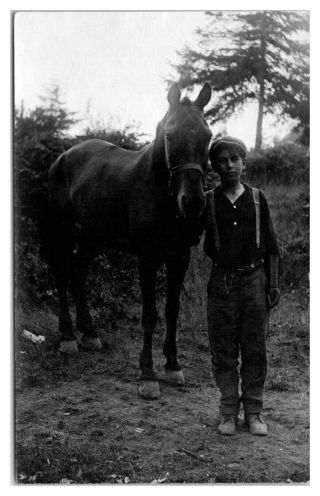 Rppc Young Boy And His Horse Real Photo Postcard 5a