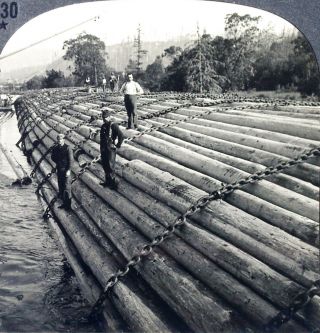 Keystone Stereoview Logs On Columbia River,  Oregon Or From The 1930s T400 Set B
