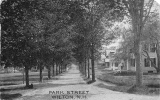 Wilton Hampshire Homes,  Tree - Lined Sidewalk @ Park Street 1910 Postcard