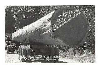Vintage Rppc Real Photo Postcard Giant Tree Log Logging Truck Redwood Highway Ca