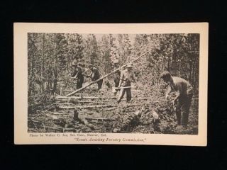 Rare Early Official Boy Scout Pc Scouts Assisting Forestry Commission