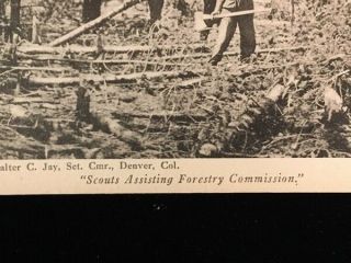 RARE EARLY OFFICIAL BOY SCOUT PC SCOUTS ASSISTING FORESTRY COMMISSION 2