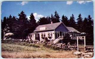 Pemaquid Point,  Maine Me Sea Gull Shop Tea Room & Gift Shop Ca 1950s Postcard