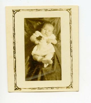 B&w Antique Photograph Baby Picture Early 1900 