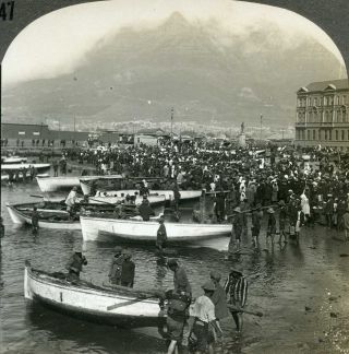 South Africa Cape Town Fishing Boats Stereoview 17050 T247/4 18195