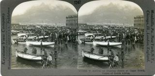 South Africa CAPE TOWN Fishing Boats Stereoview 17050 T247/4 18195 2