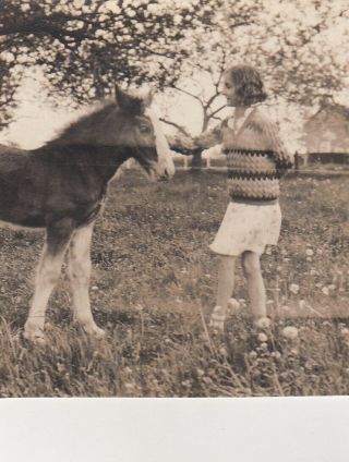 Old Photo Humour Children Girl Farm Animal Horse Foal 1930s Oc1