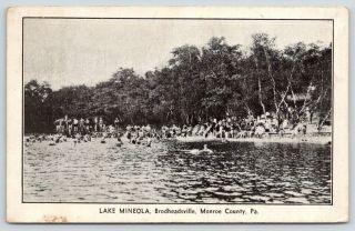 Brodheadsville Pennsylvania Lake Mineola Swimming Hole Crowd On Bank 1934 B&w Pc