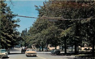 Longview Washington Nutty Narrows Squirrel Crossing Bridge 1950s Cars Postcard