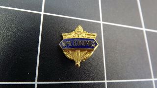 Vintage Gold Tone Home Economics Award Enamel Lapel Pin