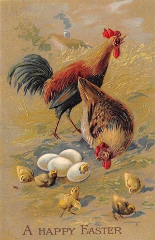 Easter Rooster Crows Hen Watches Hatching Chicks Emboss Germany 1908 Postcard