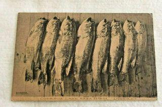 1911 Postcard Of Fishing Catch Bass On Conesus Lake Livonia Livingston County Ny