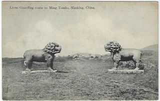 China Early 1900s Postcard Lions Guarding Route To Ming Tombs,  Nanking