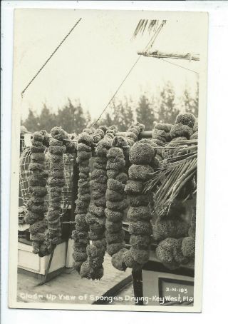 Key West Fl Florida Rppc Postcard Close Up View Of Sponges Drying