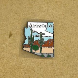 Arizona State Usa Lapel Old Enamel Pin