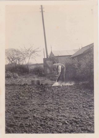 Vintage Photo A Man Gardening In The 1930s