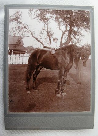 Antique Cabinet Photo Portrait Of A Cute Little Boy On A Big Horse