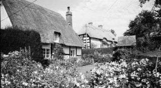 Three Large Format Negatives.  5 " X 4 ".  Thatched Cottages