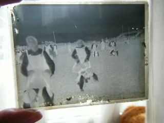 Antique Glass Photo Plate Negative,  Girls School Sports Day? Wheelbarrow Race