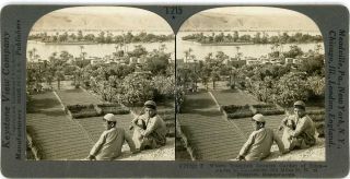 Stereoview Iraq Young Arab Boys Euphrates Date Palms Fig Tree 27702 T215 20772fx